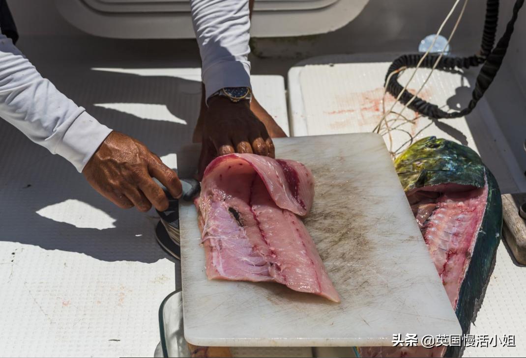 塞舌尔伊甸园蓝天碧海,塞舌尔伊甸园旅游攻略
