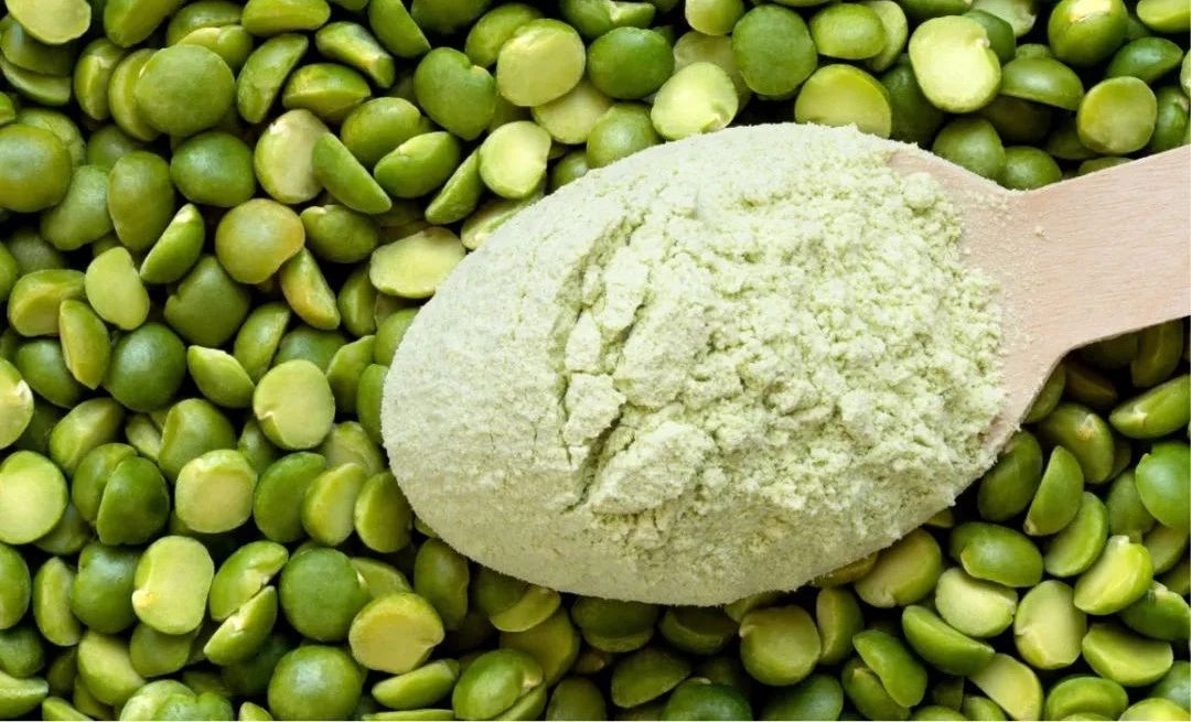 吃素摄取蛋白质,吃素怎么补充植物蛋白