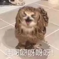 妮维雅q10面霜lamer,lamer面霜简装和精装有什么区别