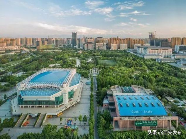 西安发布头条新闻,西安发布的最新消息