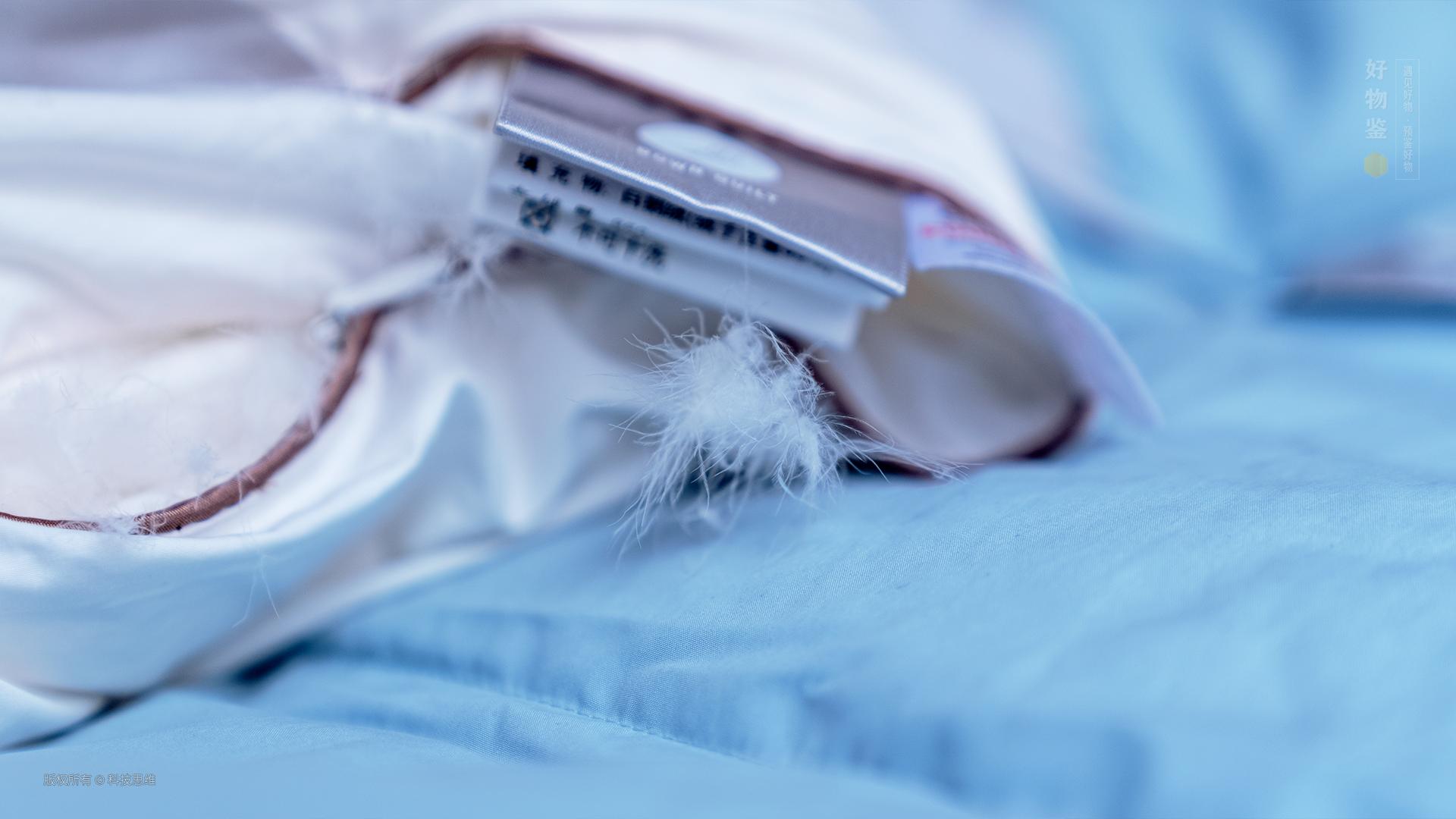 老罗鹅绒被推荐,网易严选鹅绒被测评