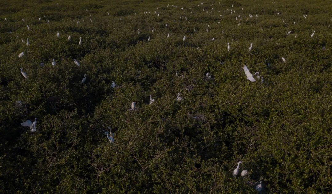 银海风景,银海美景
