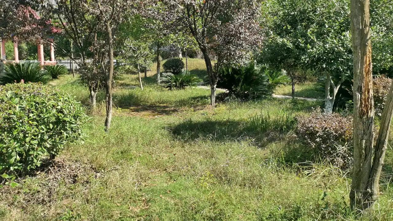 深圳往事记录10年前,电镀厂员工偷金