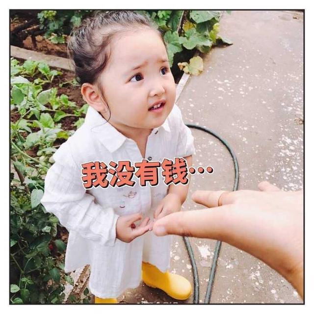 kol带货明星,kol带货达人