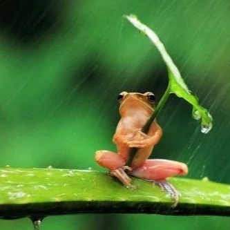 开个移动营业厅上班真实感受,开移动营业厅有什么要求