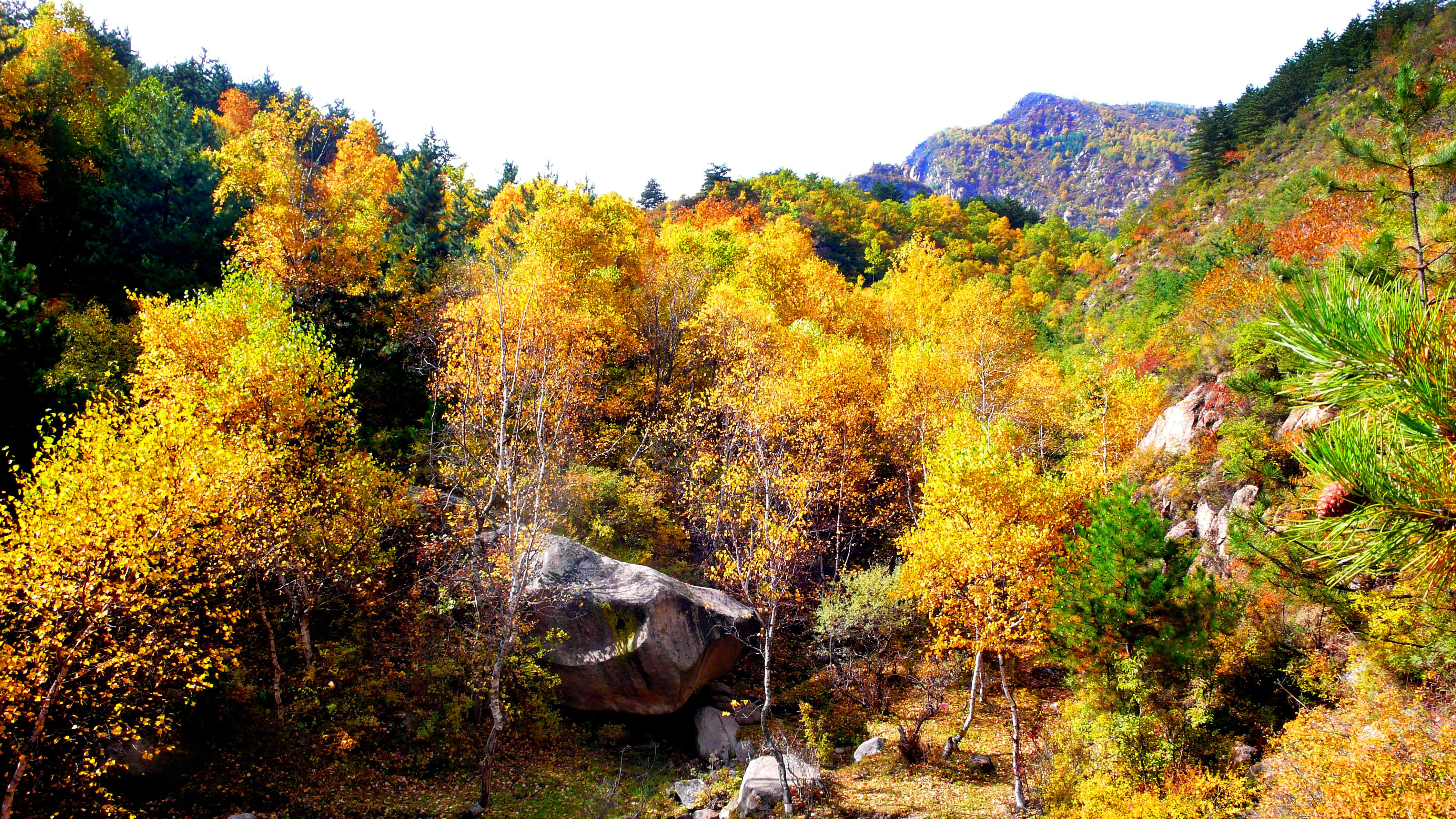 祖国的大好河山东岳泰山,北岳恒山风景区悬空寺