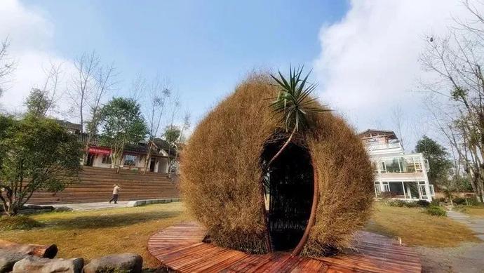 九莲小学怎么样,九莲小学