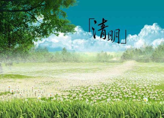 「原创诗词」金子正|秋风不是无情客一岭黄花照眼明