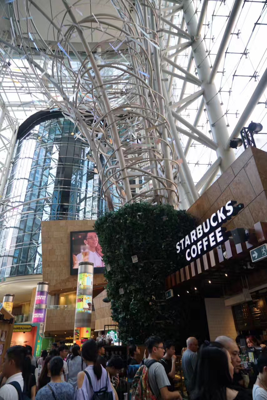 疫情好了出去旅游,疫情好了去旅行