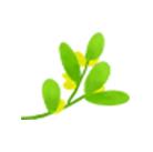 武汉跃莱是合法直销吗,跃莱武汉专卖店