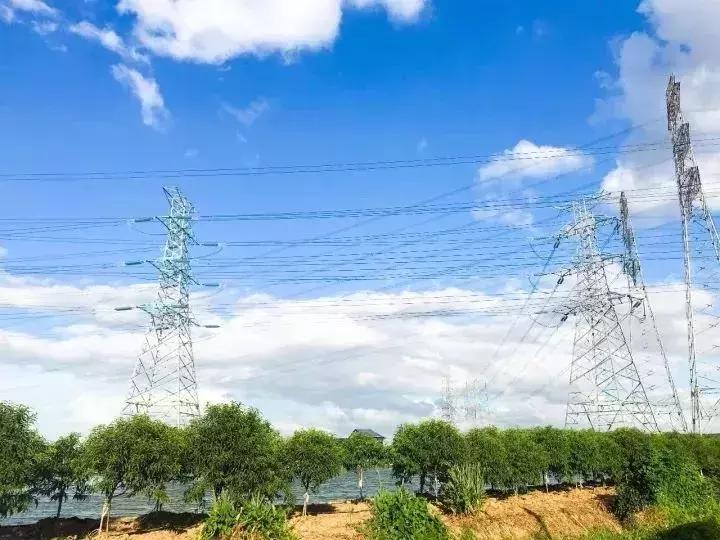 地铁直达!广州15个最适合春游的打卡点,春暖花开超好玩!