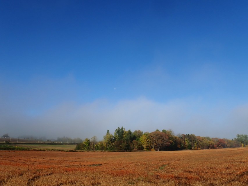 北海道登别到美瑛町需多久,日本北海道美瑛川的雪景