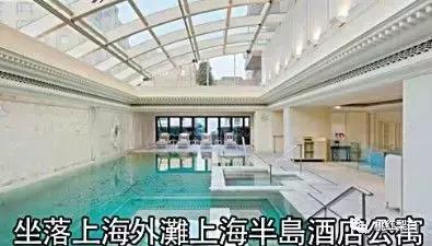 刘嘉玲和天价娃娃合影,刘嘉玲买画