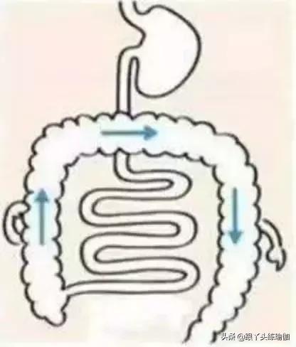肠梗阻按摩腹部顺时针还是逆时针,按摩腹部减肥顺时针还是逆时针