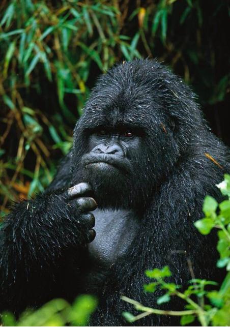 世界最贵国家公园门票,全球最贵的公园门票10000元