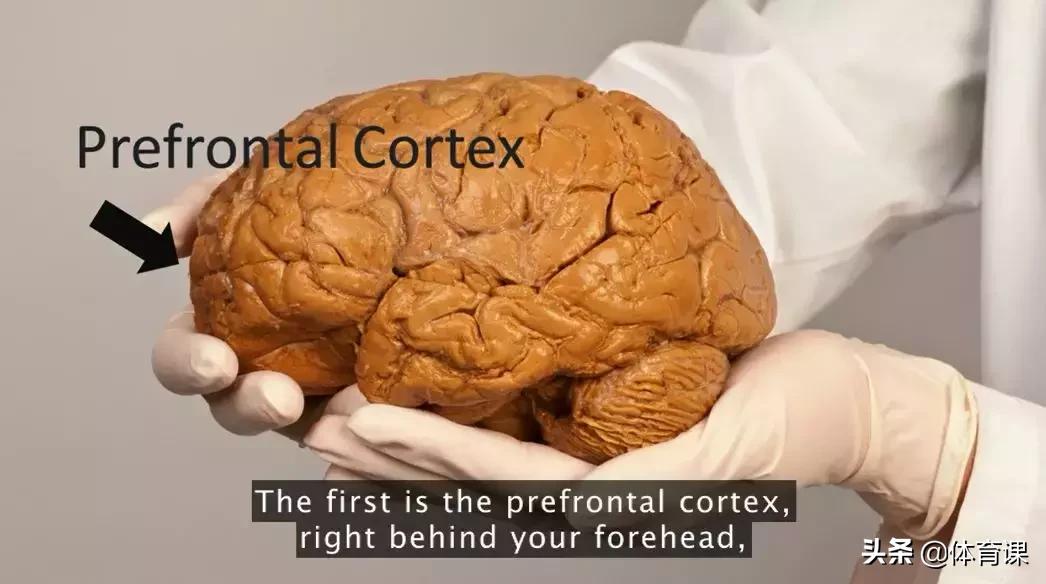 运动造就健康的体魄和宽阔的胸怀,运动才是健康的本钱