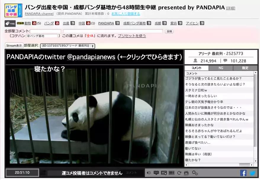 摸一摸就能怀孕？这真的不是都市传说