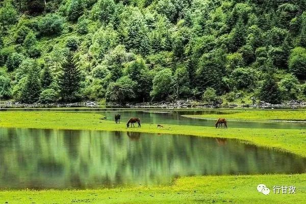 有人说，如果在10月错过了莲花湖，就相当于错过了整个秋天