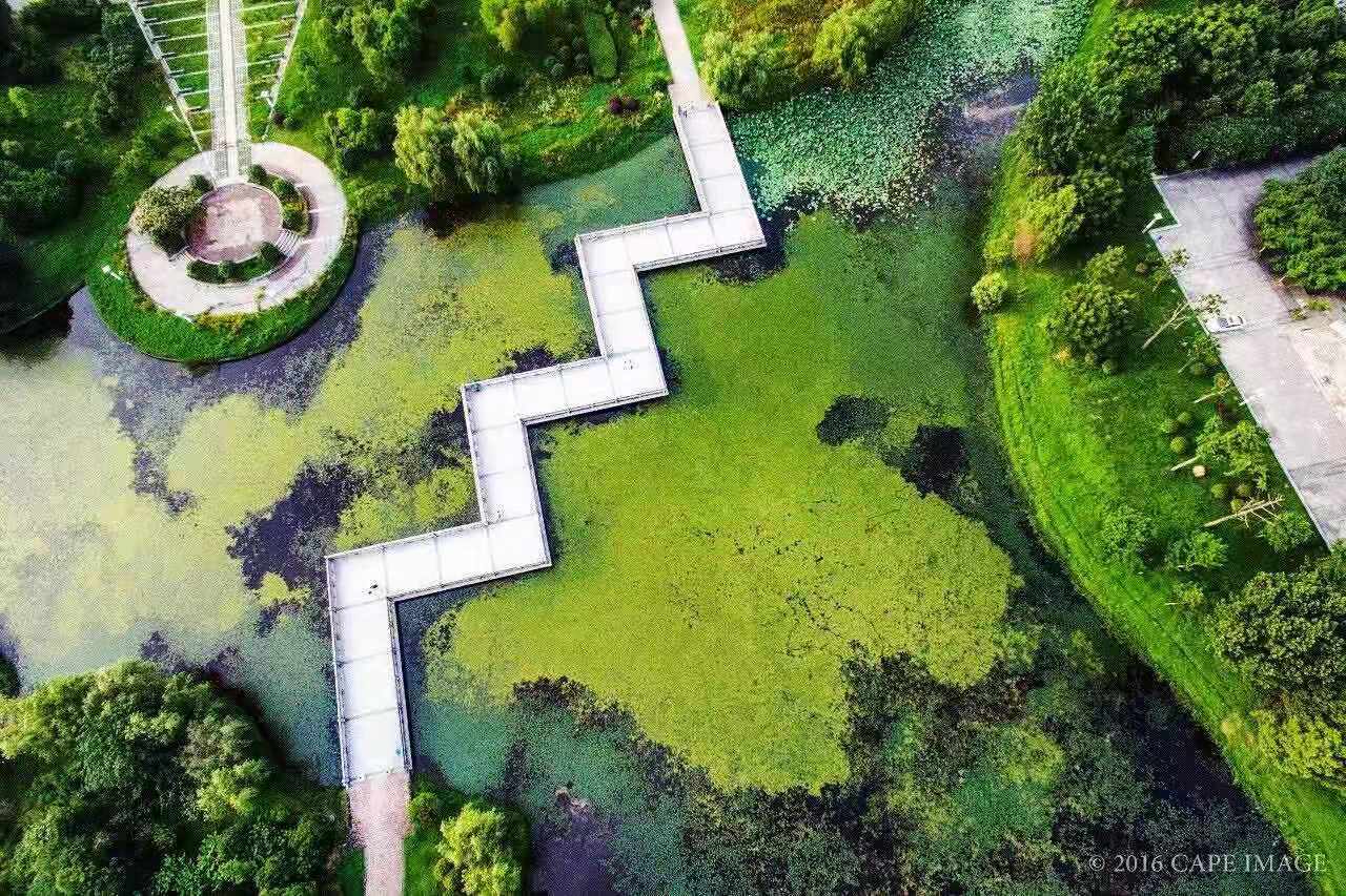 民国最高学府是哪个,国立中央大学当年世界地位