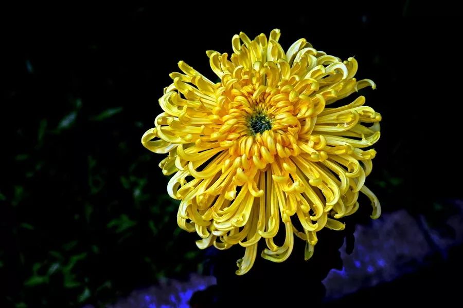 十首流行千古的七绝唐诗,七绝100首古诗