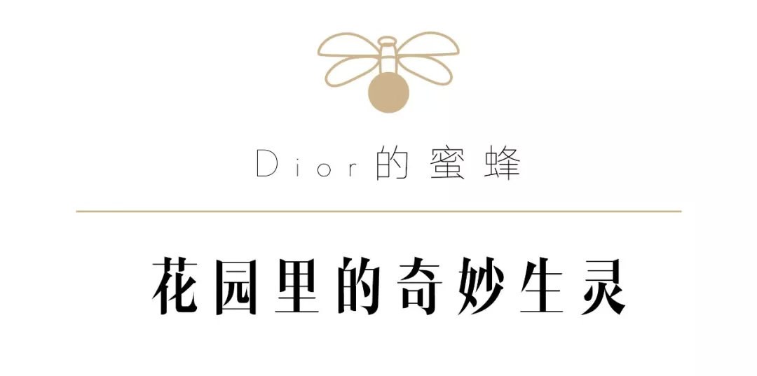 大牌为什么都爱蜜蜂？看完这篇让你买的明白