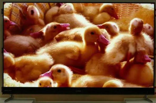 康佳r2多少钱,康佳r2深度评测