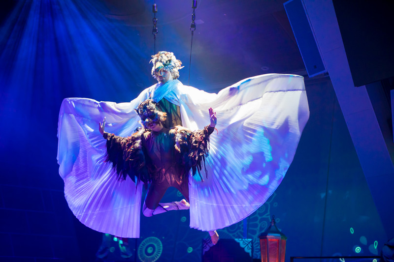 游轮自由行日本,一家五口游轮旅行日本