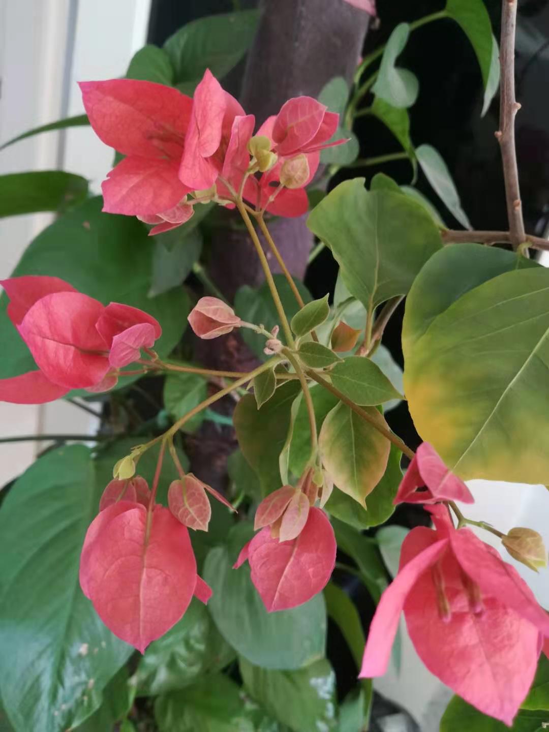 办人民满意教育铸造教育新品牌,办人民满意的教育是教育方针吗