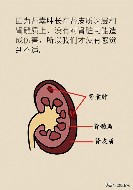 2023健康科普大赛作品,2020健康北京科普作品征集大赛