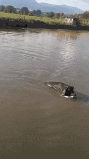 搞笑GIF：妹子，你在练什么呢，我去陪你啊