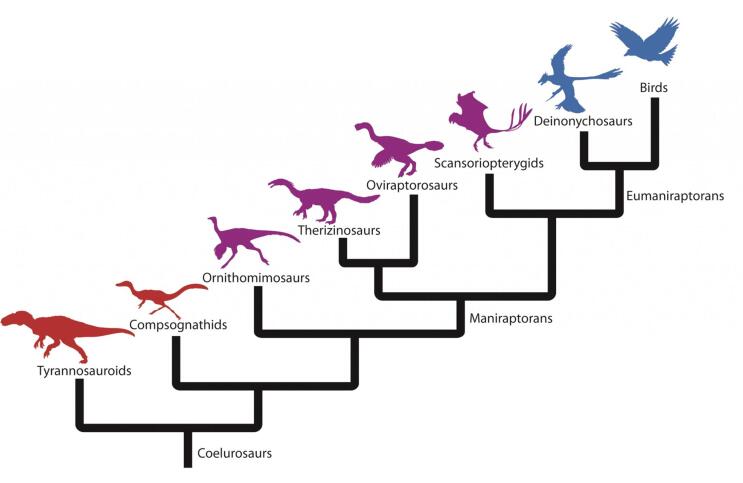 恐龙时期行星撞击地球哪个地方了,恐龙灭绝撞击地球的小行星有多大