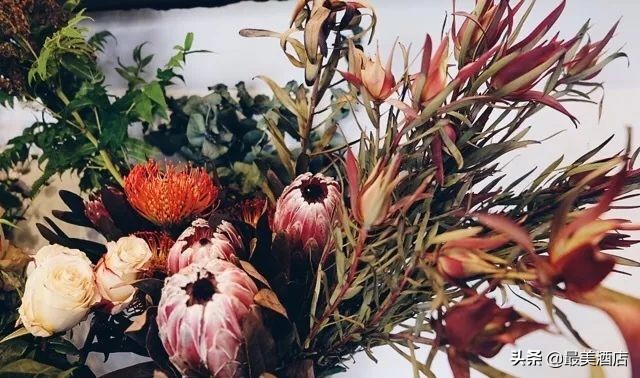 她放弃了总监职位后续,她辞去总监回家扶贫全集