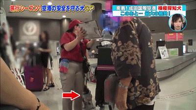 携带危险物品乘车处罚,在机场登机被通知签证取消