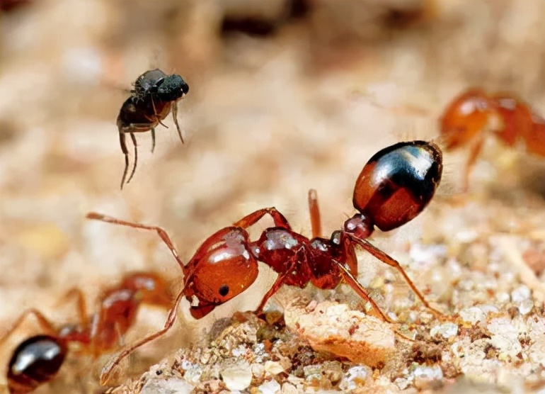 每天收到陌生人转账自己能花吗,不要轻易向陌生人转账后面是什么