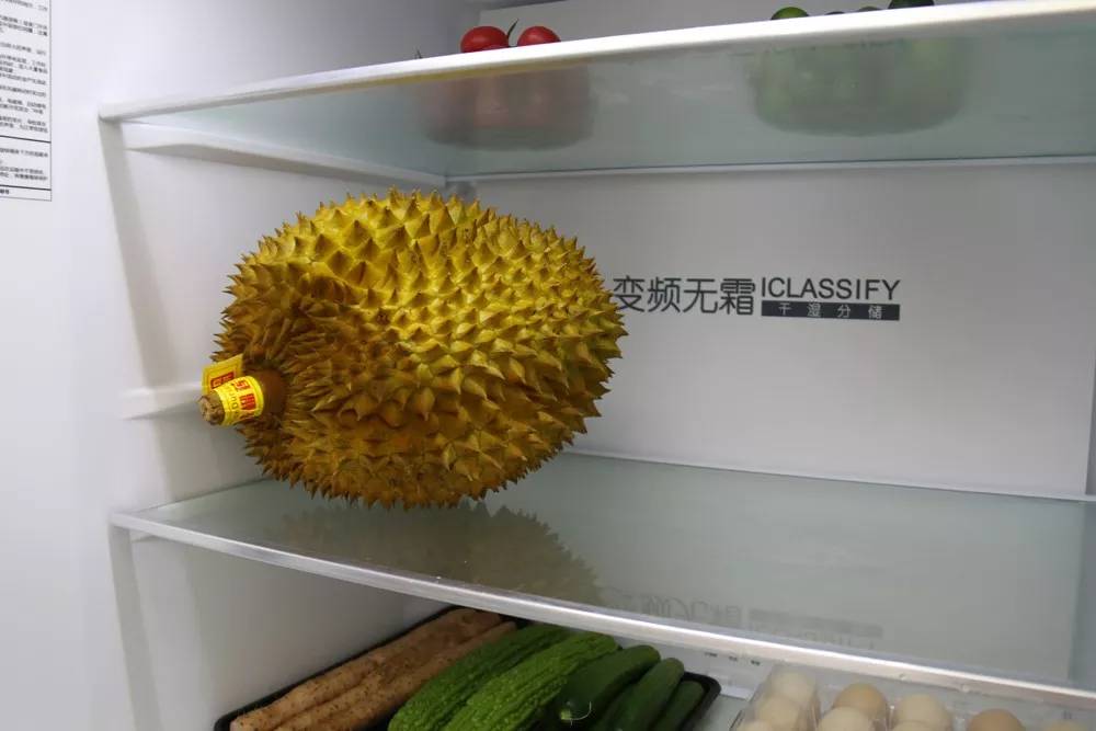 冰箱负离子杀菌是真的吗,负离子生态杀菌冰箱