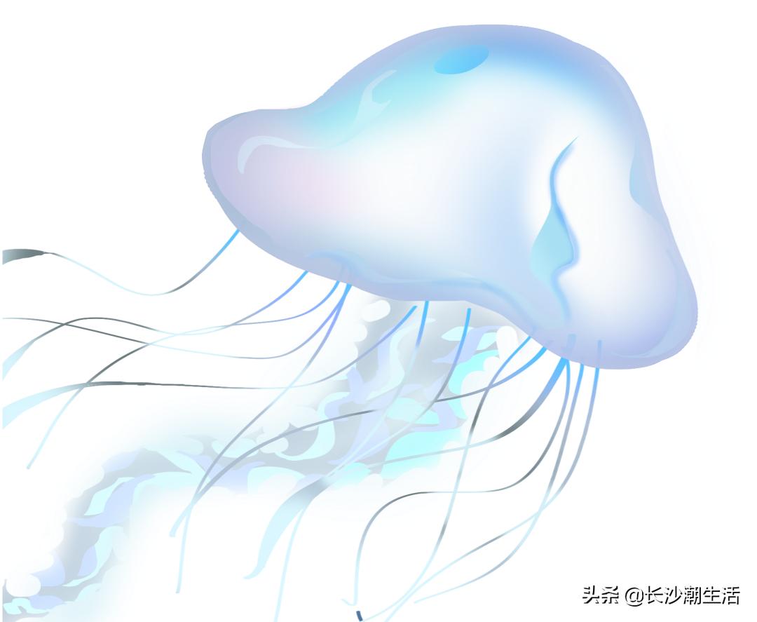 宁乡吾悦海洋节,吾悦广场嘉年华海底世界