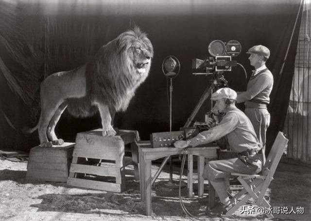 站起来的霍金图片,站起来的霍金