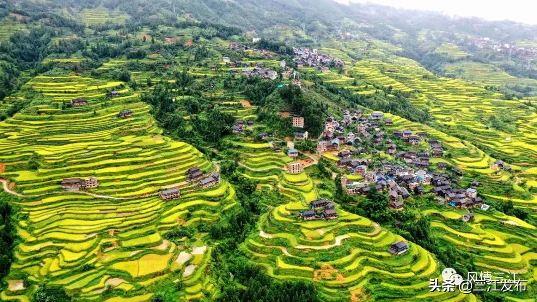 明天早上八点半中央电视台综合频道朝闻天下直播三江号始发，敬请收看