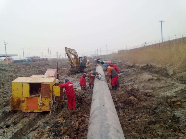 近期中国对澳洲采取哪些贸易禁令,澳大利亚跟中国的贸易最新消息