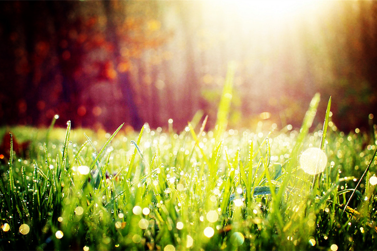 微商的新思路和方法 (微商的基本模式和套路的方法)