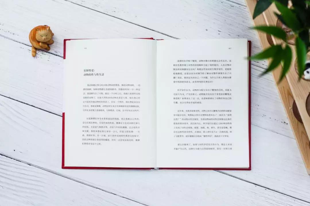 苍蝇的一生有多短暂,苍蝇的一生也就是人类的缩影