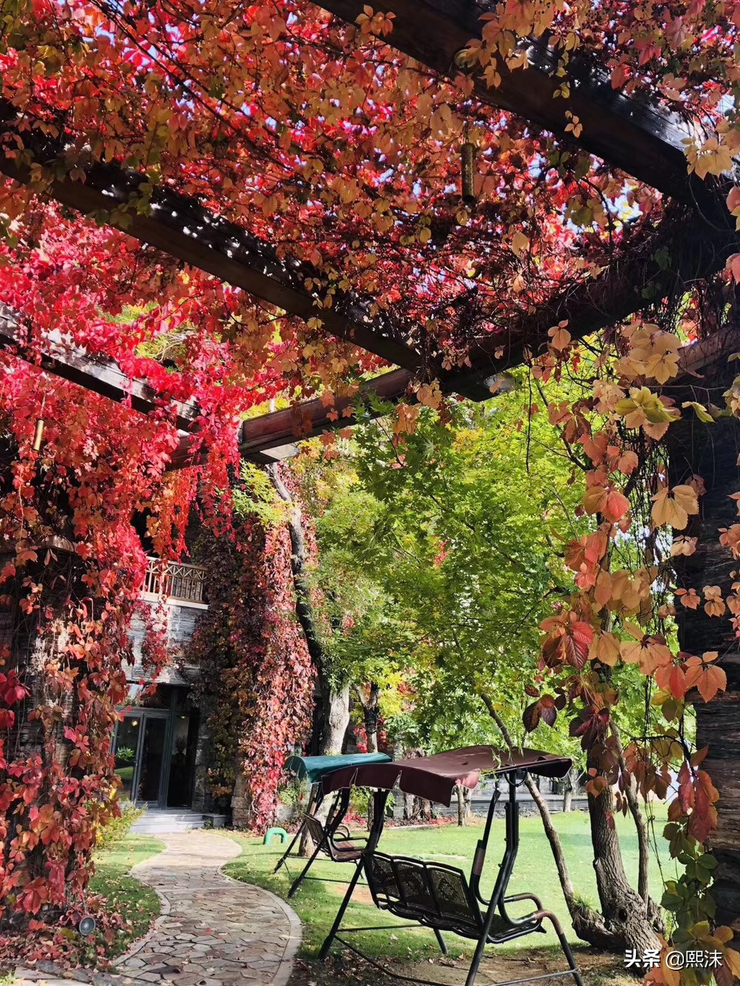 十一月很孤单,十一月孤独寂寞