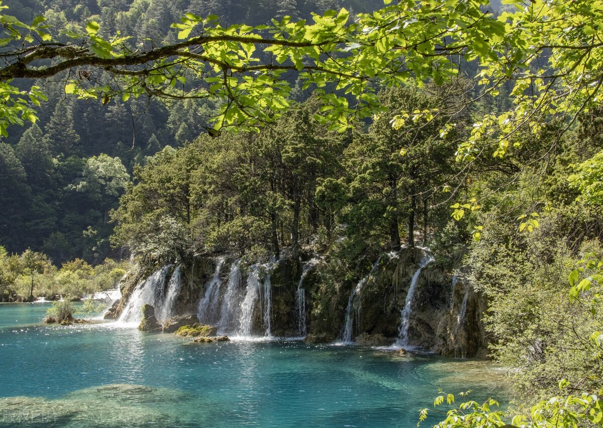 吕氏春秋孝行翻译,吕氏春秋孝行文言文翻译