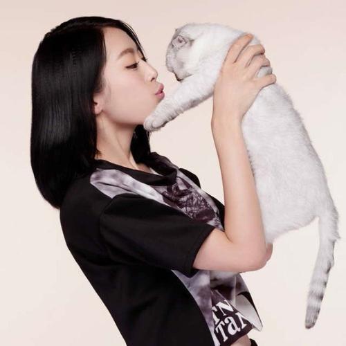 对猫毛过敏又想养猫怎么办,孩子对猫毛过敏可以养猫吗