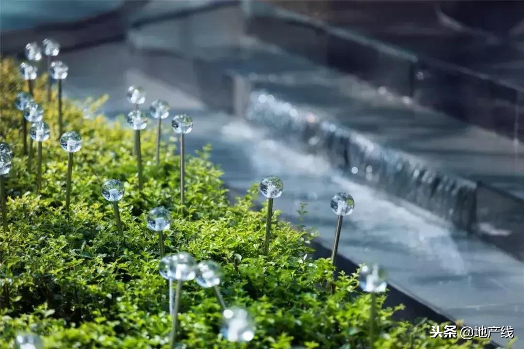 花开成都金堂,花开成都后花园