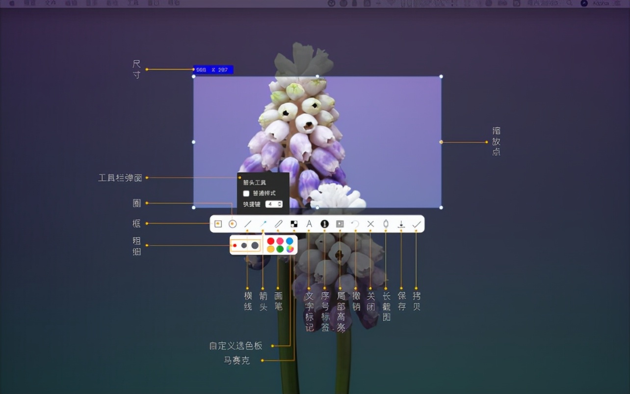 macbook新手入门必备工具,15款macbook13寸验机