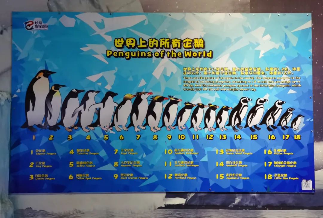 横琴奏一曲：瑜家的温馨丨初夏.珠海后花园畅游记