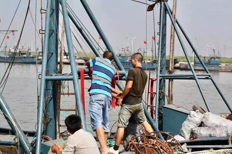 寿光羊口海鲜什么时间去合适,寿光羊口开海时间