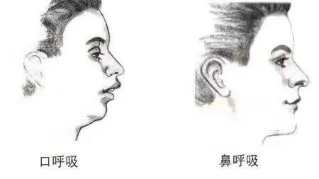 比整容更有效的变美习惯,不整容不动刀的变美秘籍