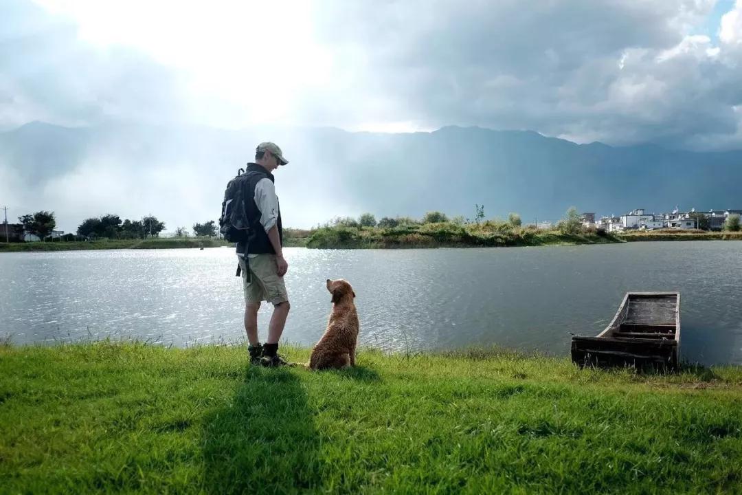 他在大理租下23个足球场大的地方，种菜、养牛、建农场日子过成诗